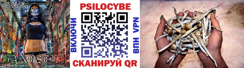 Псилоцибиновые грибы прущие грибы закладки Барыш